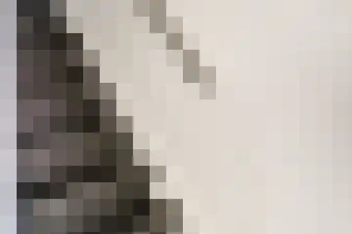 van Goyenstraat 66 Duiven thumbnail 9
