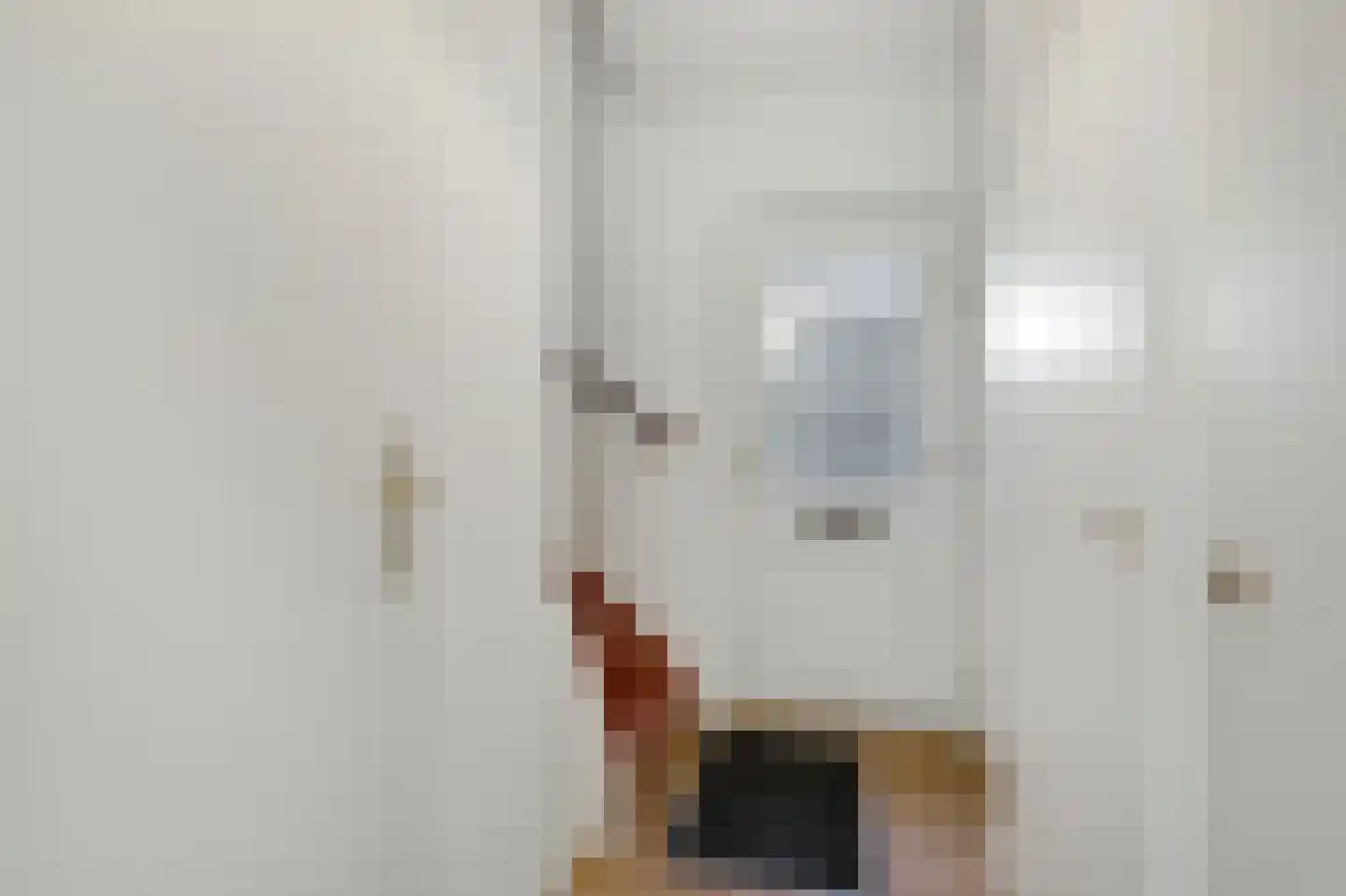 van Goyenstraat 8 Duiven thumbnail 10