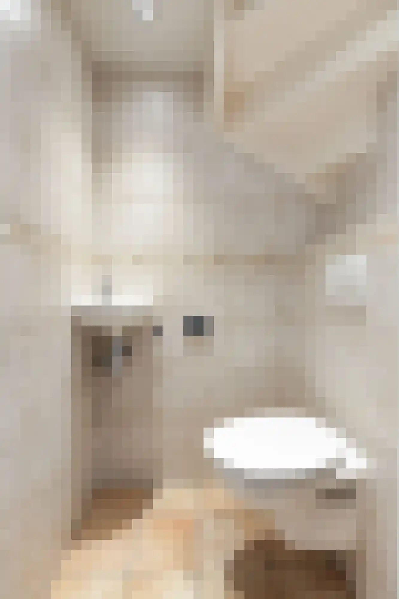 van Goyenstraat 8 Duiven thumbnail 11