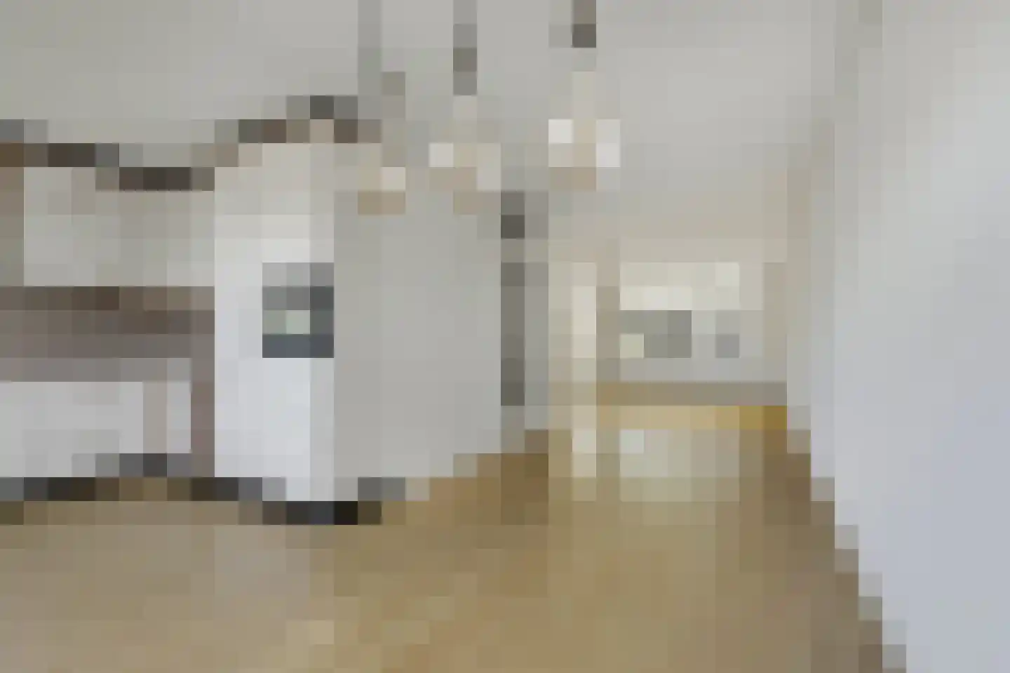 van Goyenstraat 8 Duiven thumbnail 20