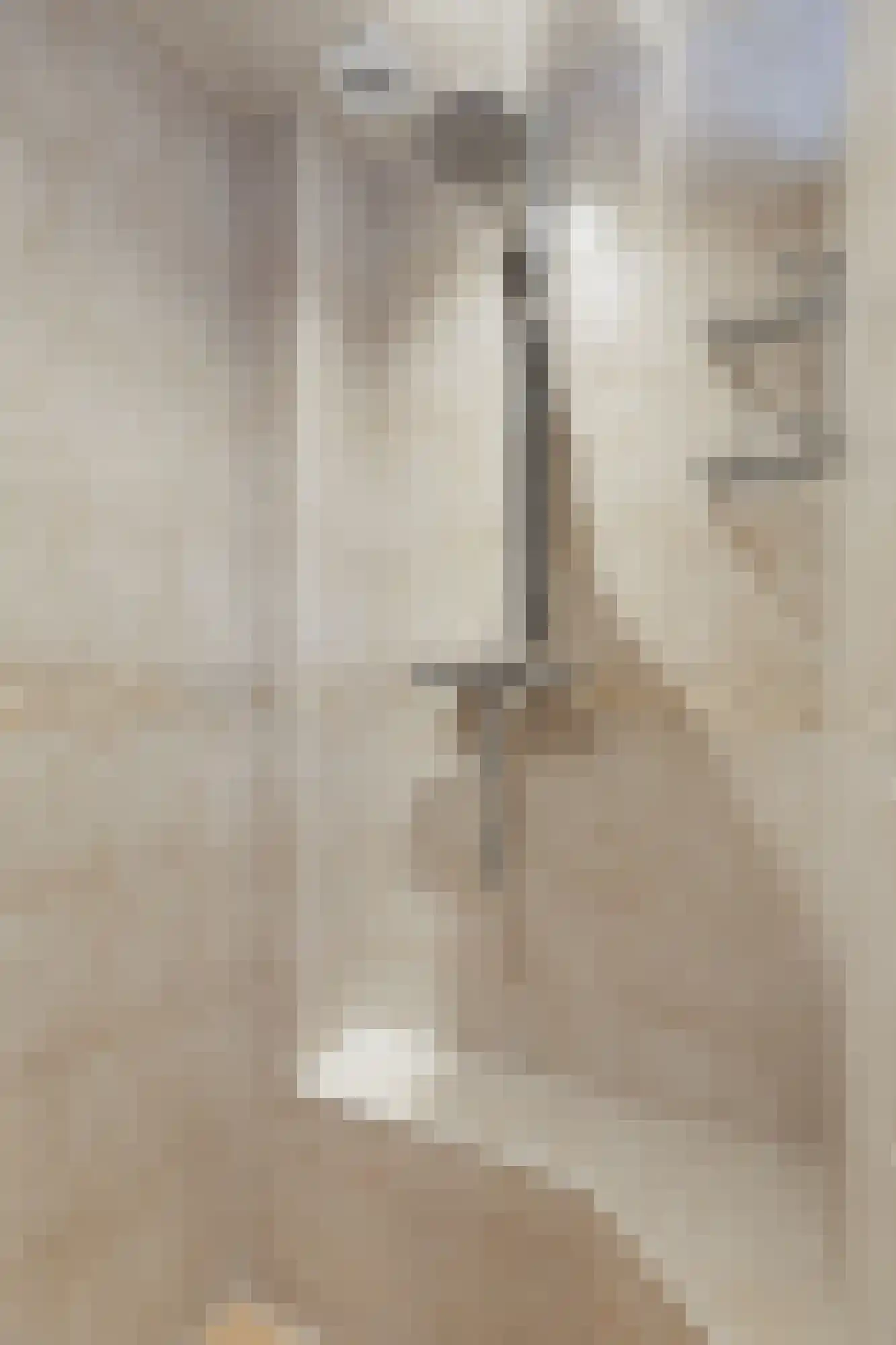 van Goyenstraat 8 Duiven thumbnail 36