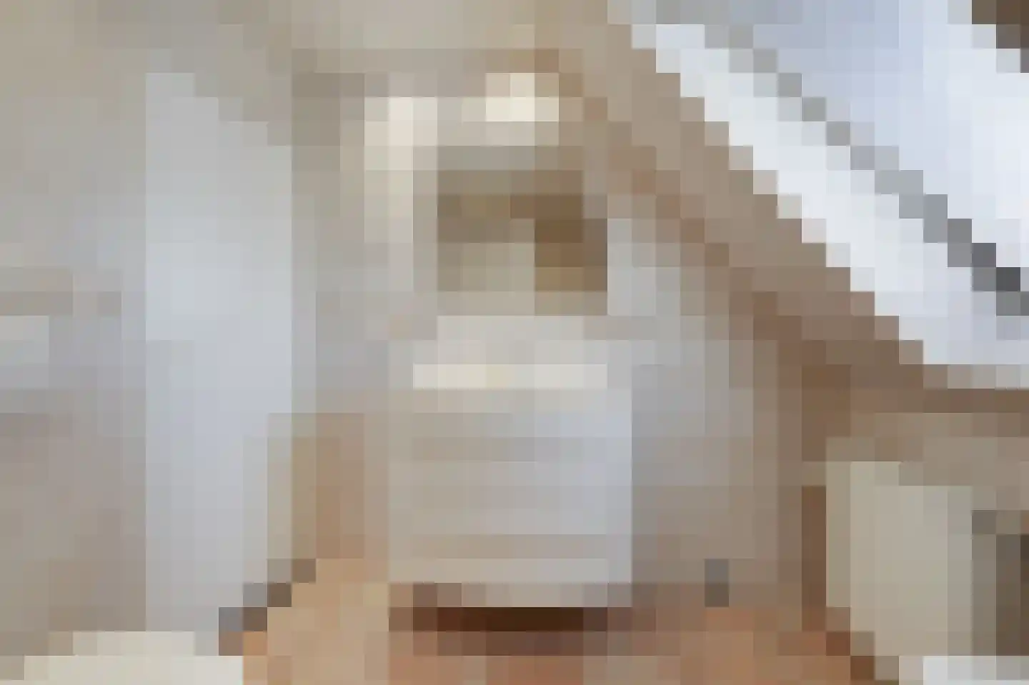 van Goyenstraat 8 Duiven thumbnail 37