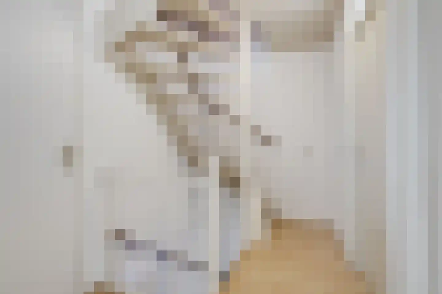 van Goyenstraat 8 Duiven thumbnail 40