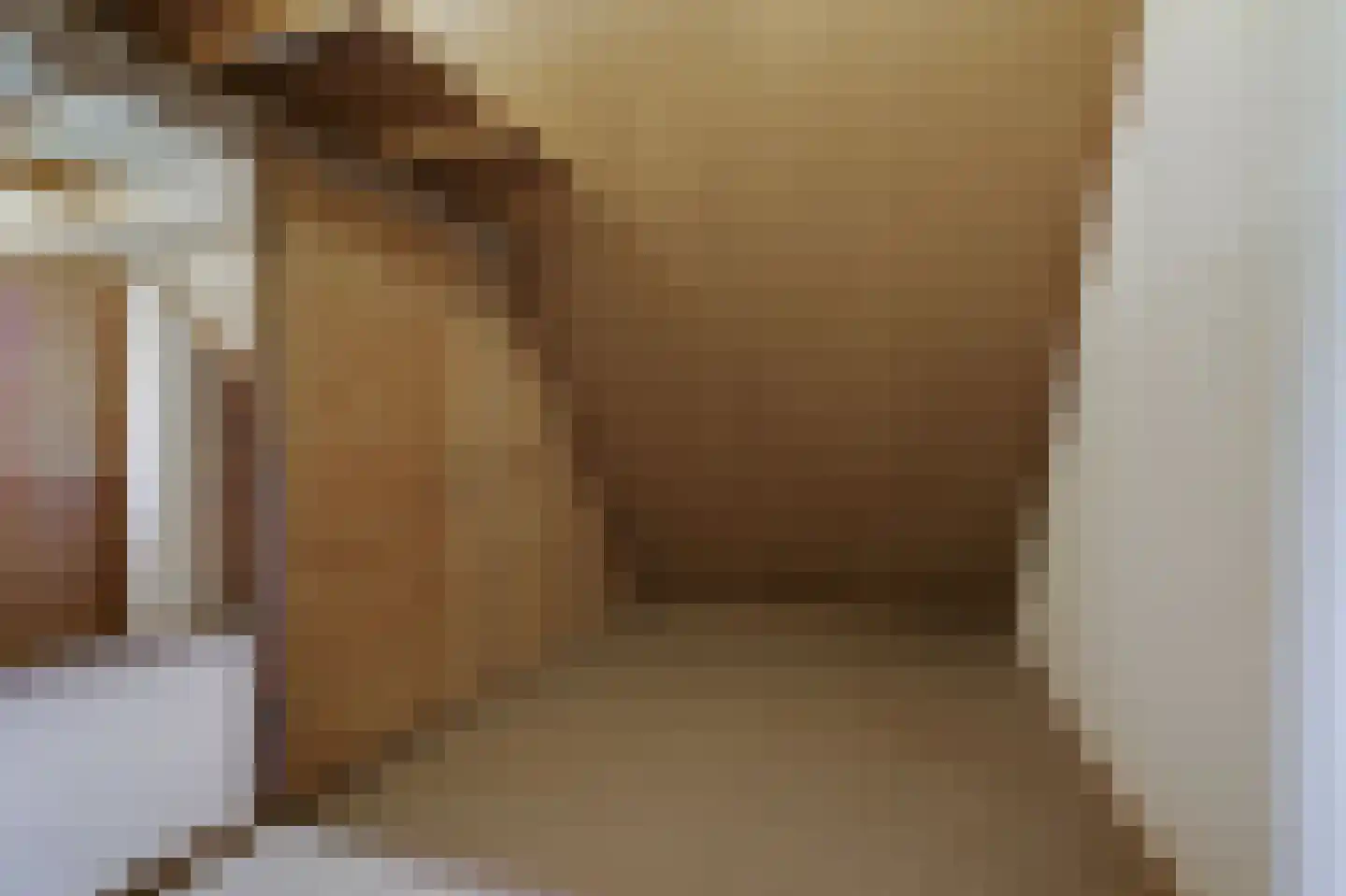 van Goyenstraat 8 Duiven thumbnail 42