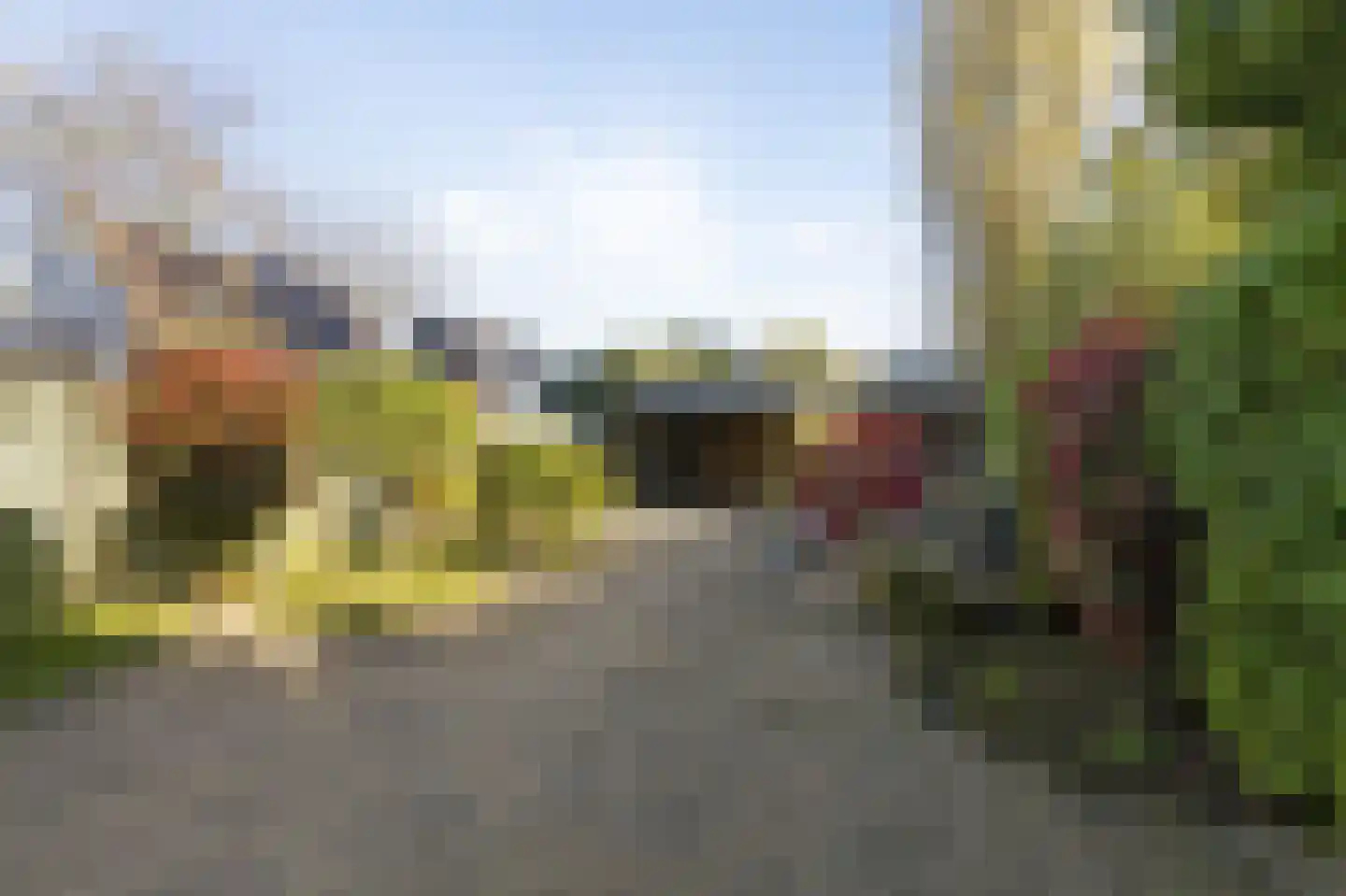van Goyenstraat 8 Duiven thumbnail 45