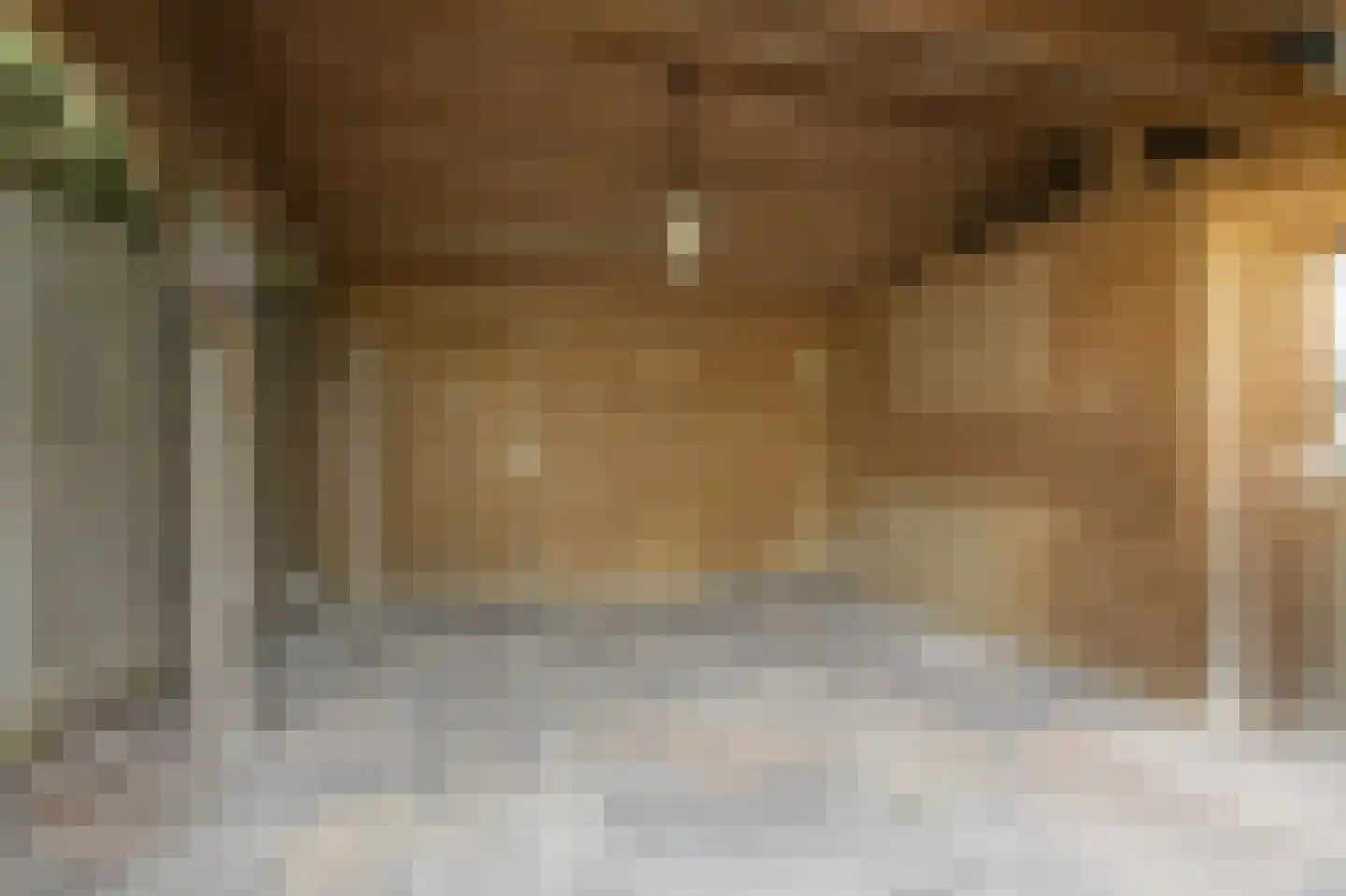 van Goyenstraat 8 Duiven thumbnail 49