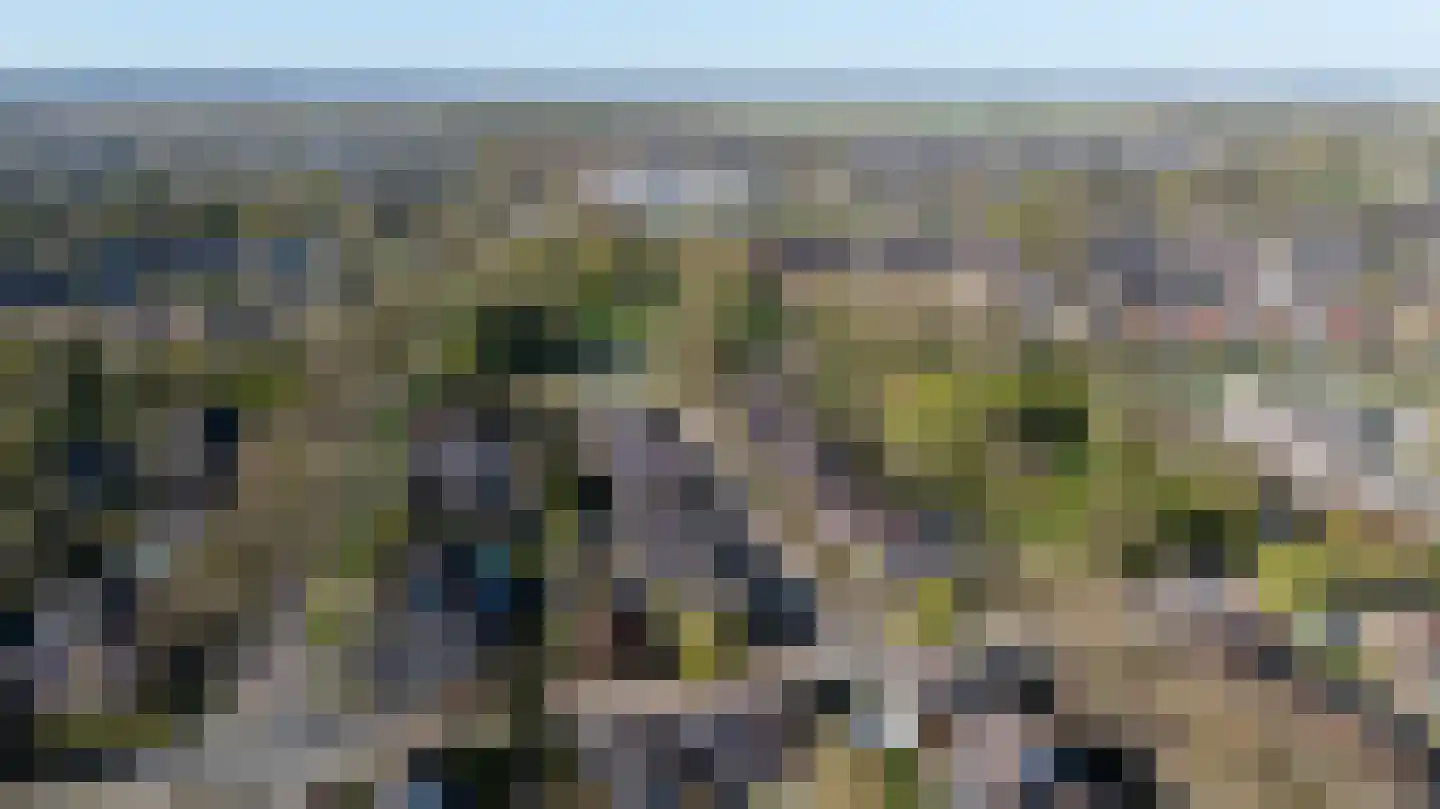 van Goyenstraat 8 Duiven thumbnail 5