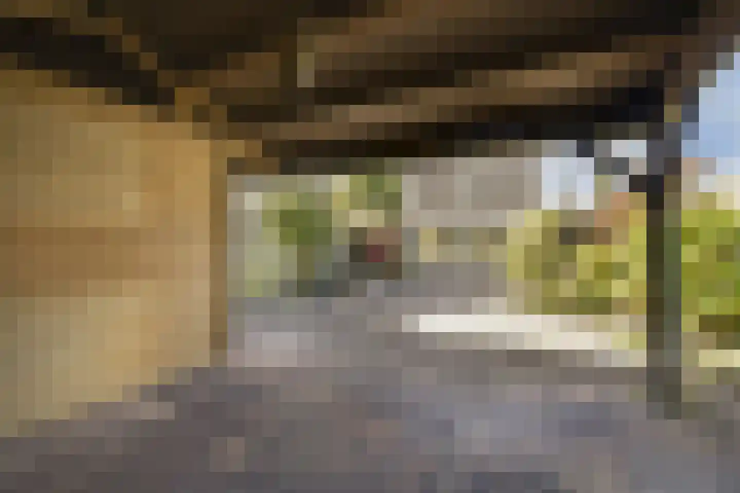 van Goyenstraat 8 Duiven thumbnail 50