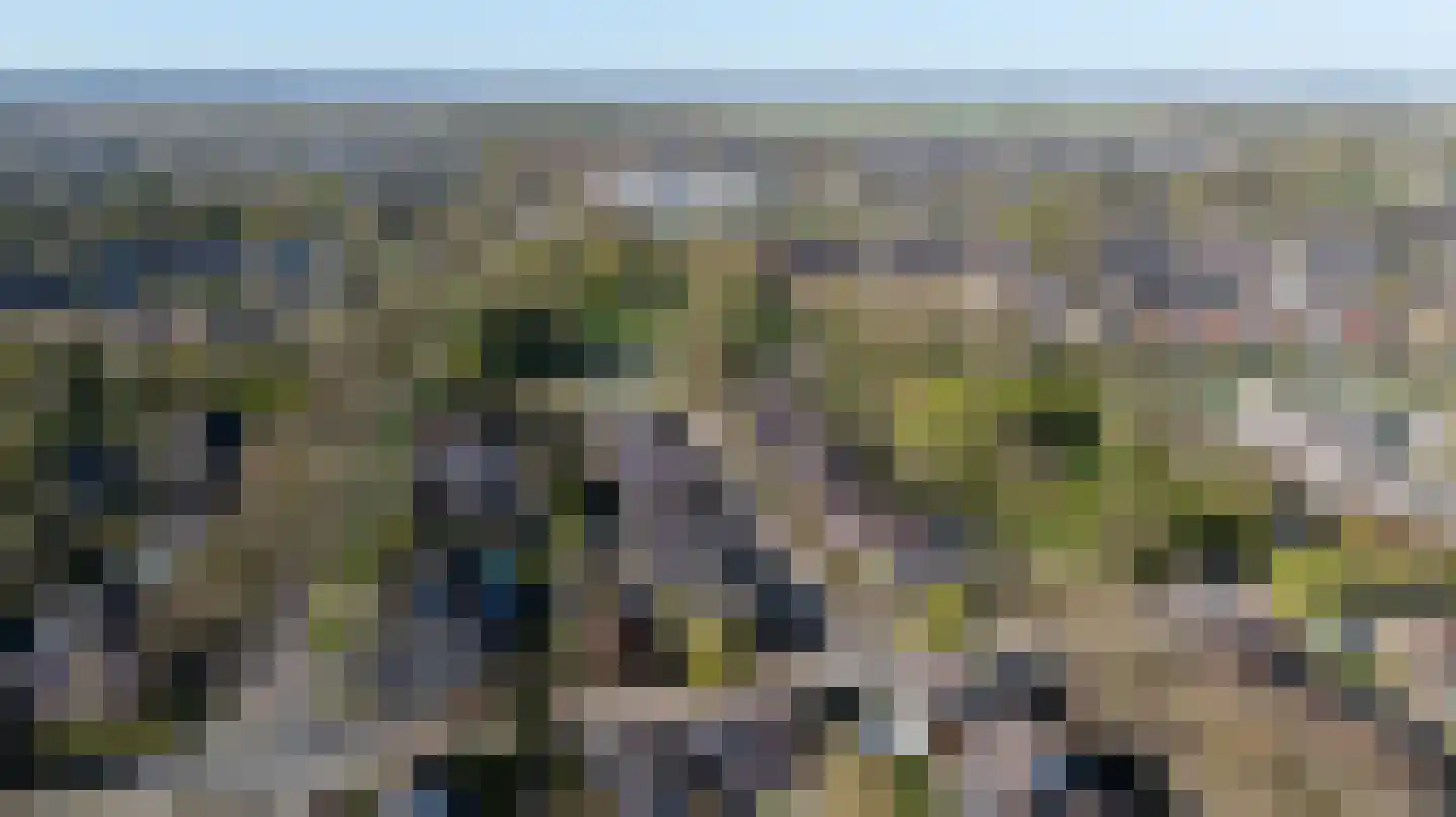 van Goyenstraat 8 Duiven thumbnail 60