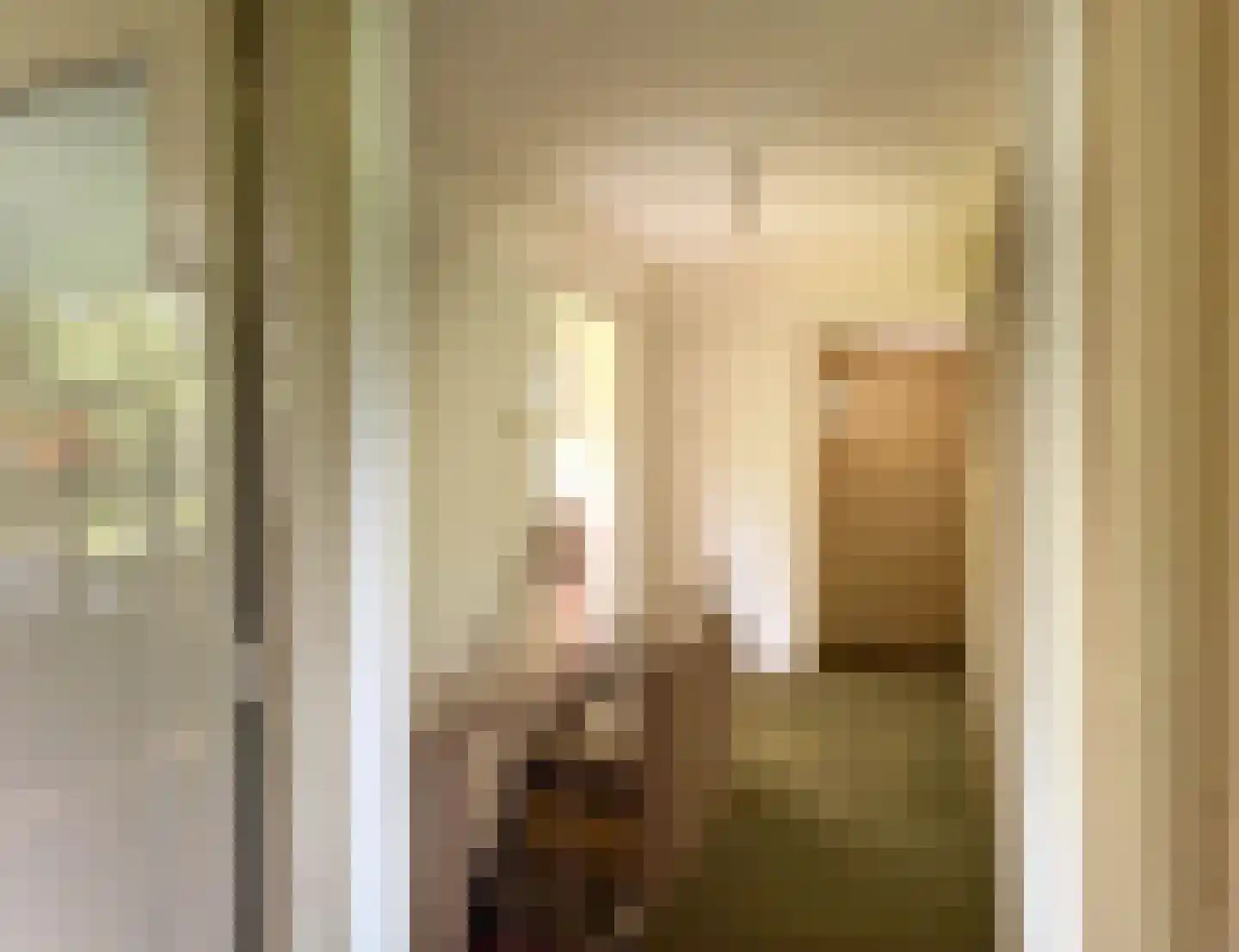van Goyenstraat 9 Son en Breugel thumbnail 17