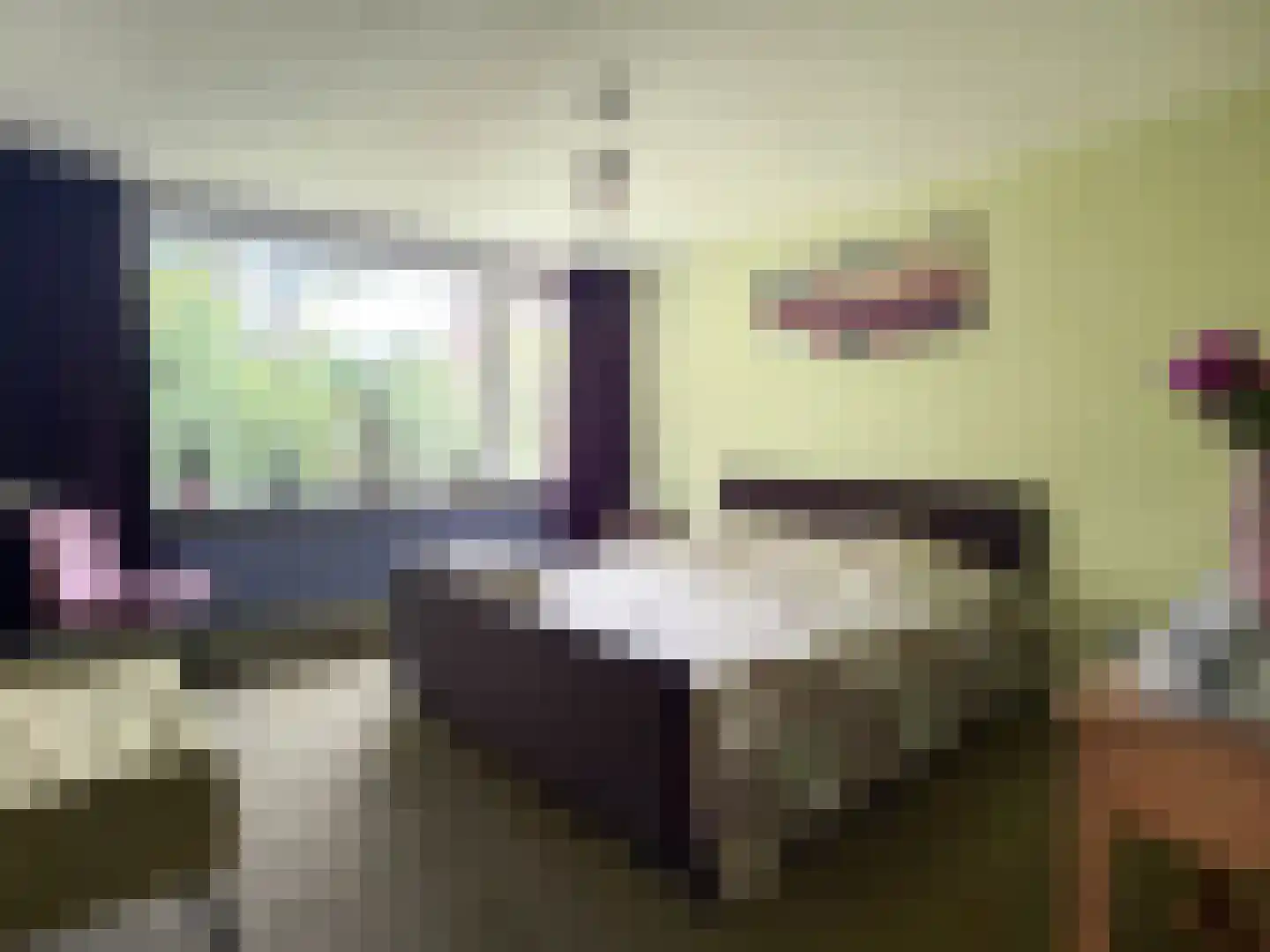 van Goyenstraat 9 Son en Breugel thumbnail 19