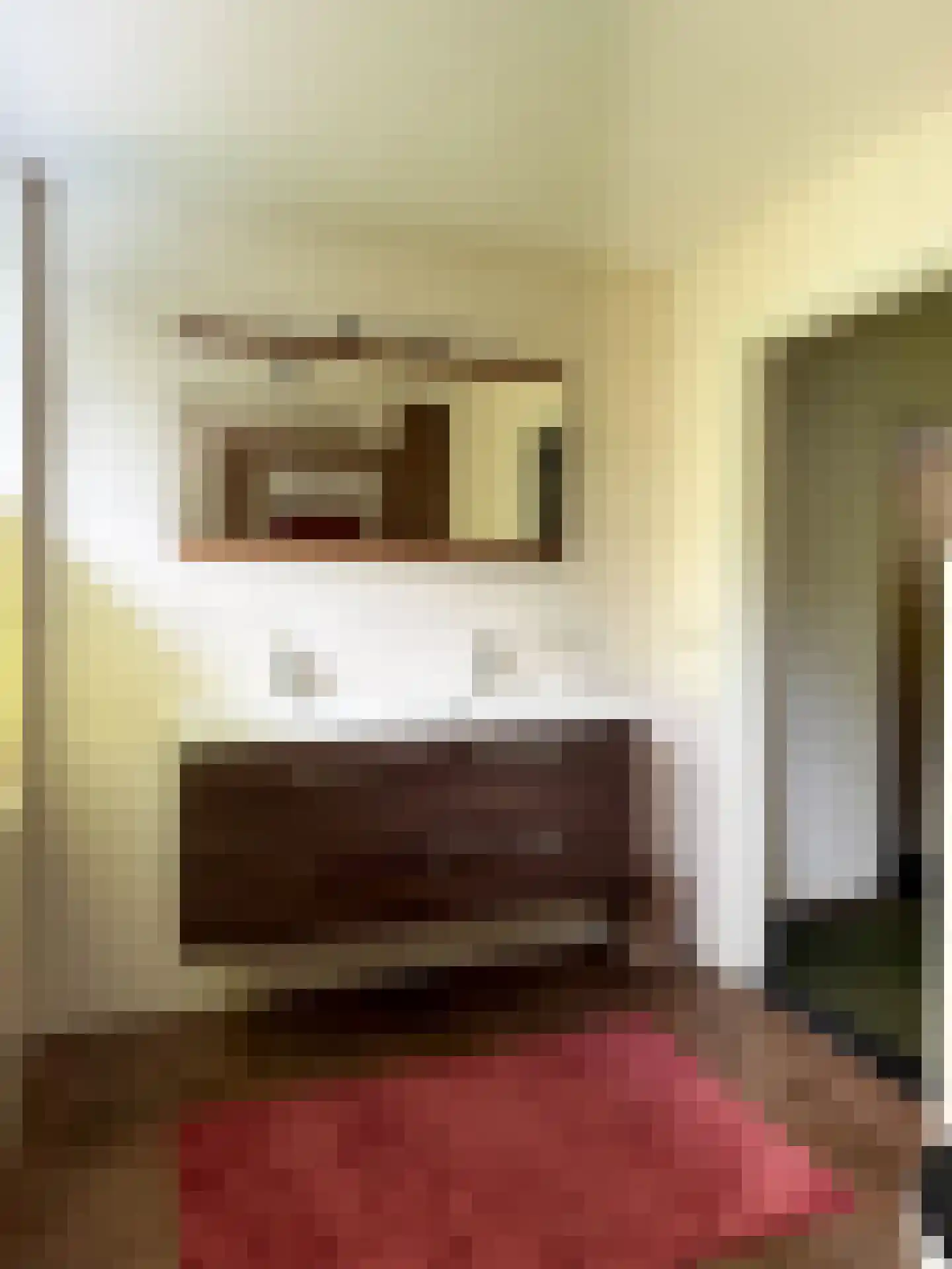 van Goyenstraat 9 Son en Breugel thumbnail 25