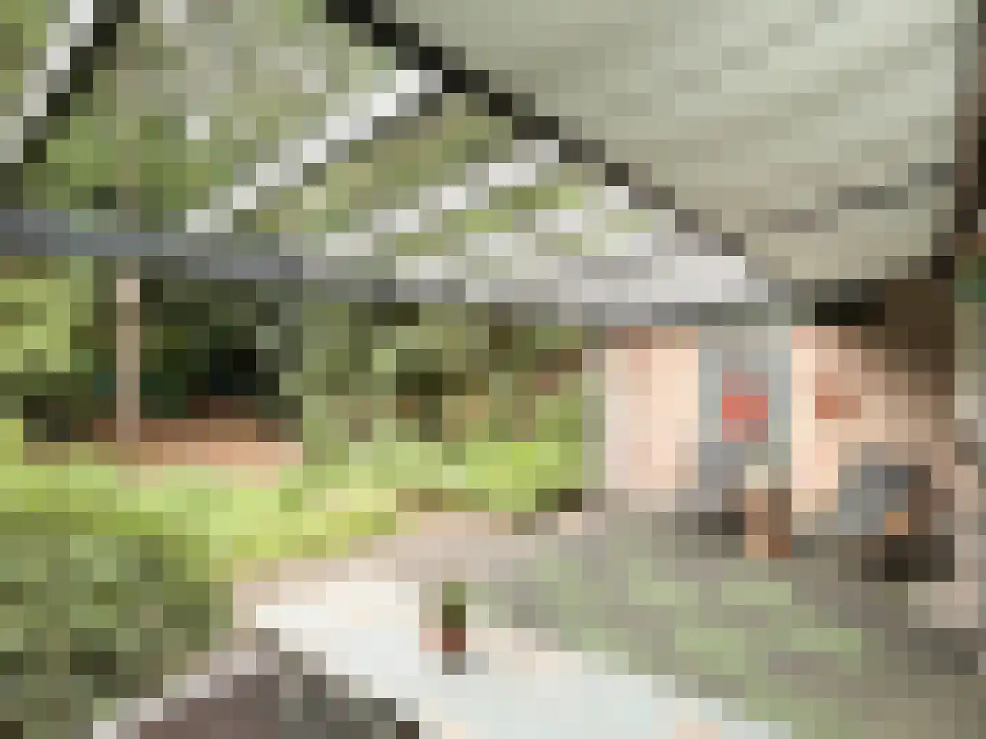 van Goyenstraat 9 Son en Breugel thumbnail 31