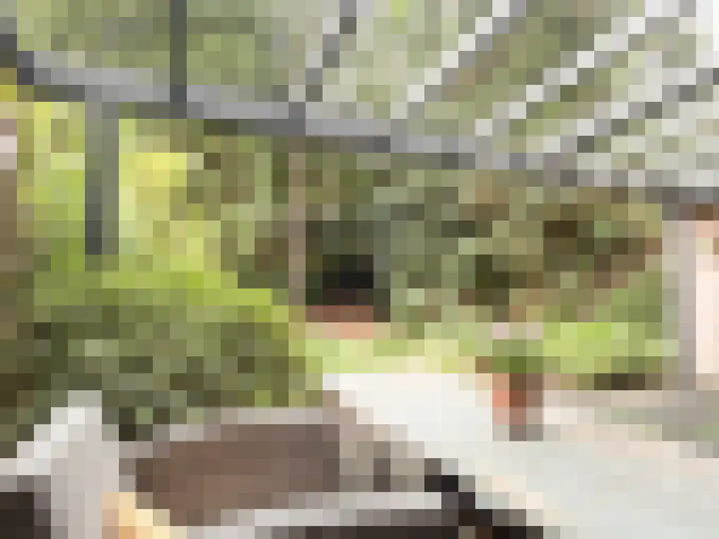 van Goyenstraat 9 Son en Breugel thumbnail 32