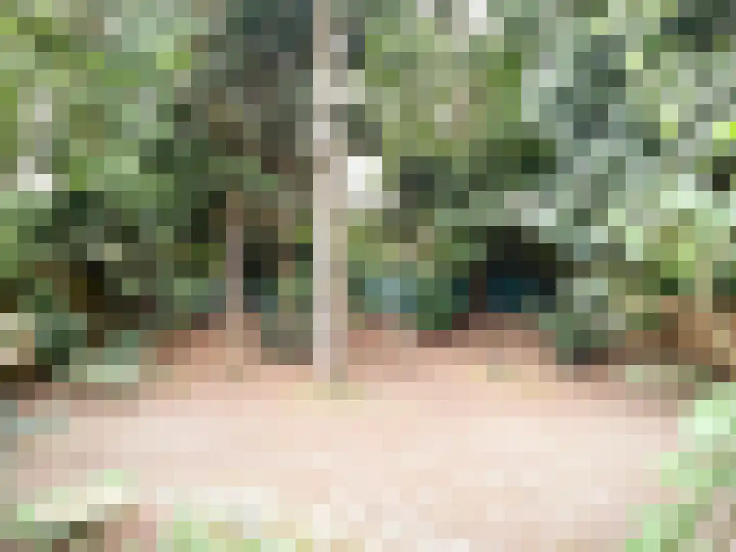 van Goyenstraat 9 Son en Breugel thumbnail 34
