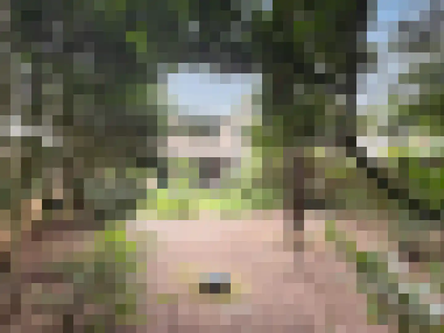 van Goyenstraat 9 Son en Breugel thumbnail 35