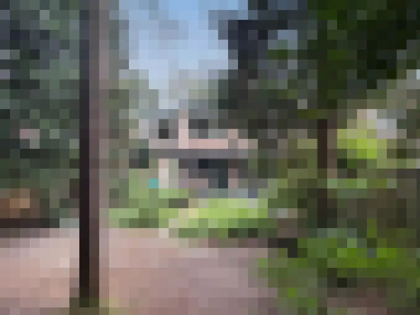 van Goyenstraat 9 Son en Breugel thumbnail 36