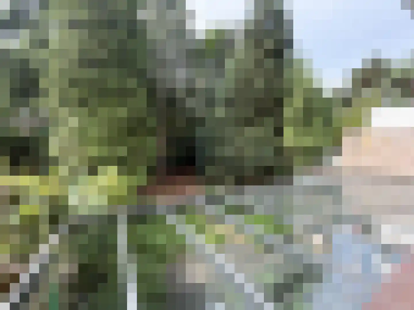 van Goyenstraat 9 Son en Breugel thumbnail 38
