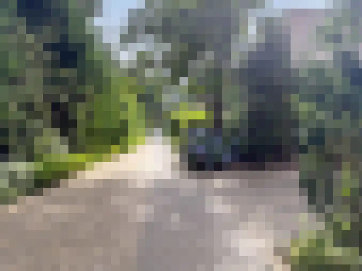 van Goyenstraat 9 Son en Breugel thumbnail 39