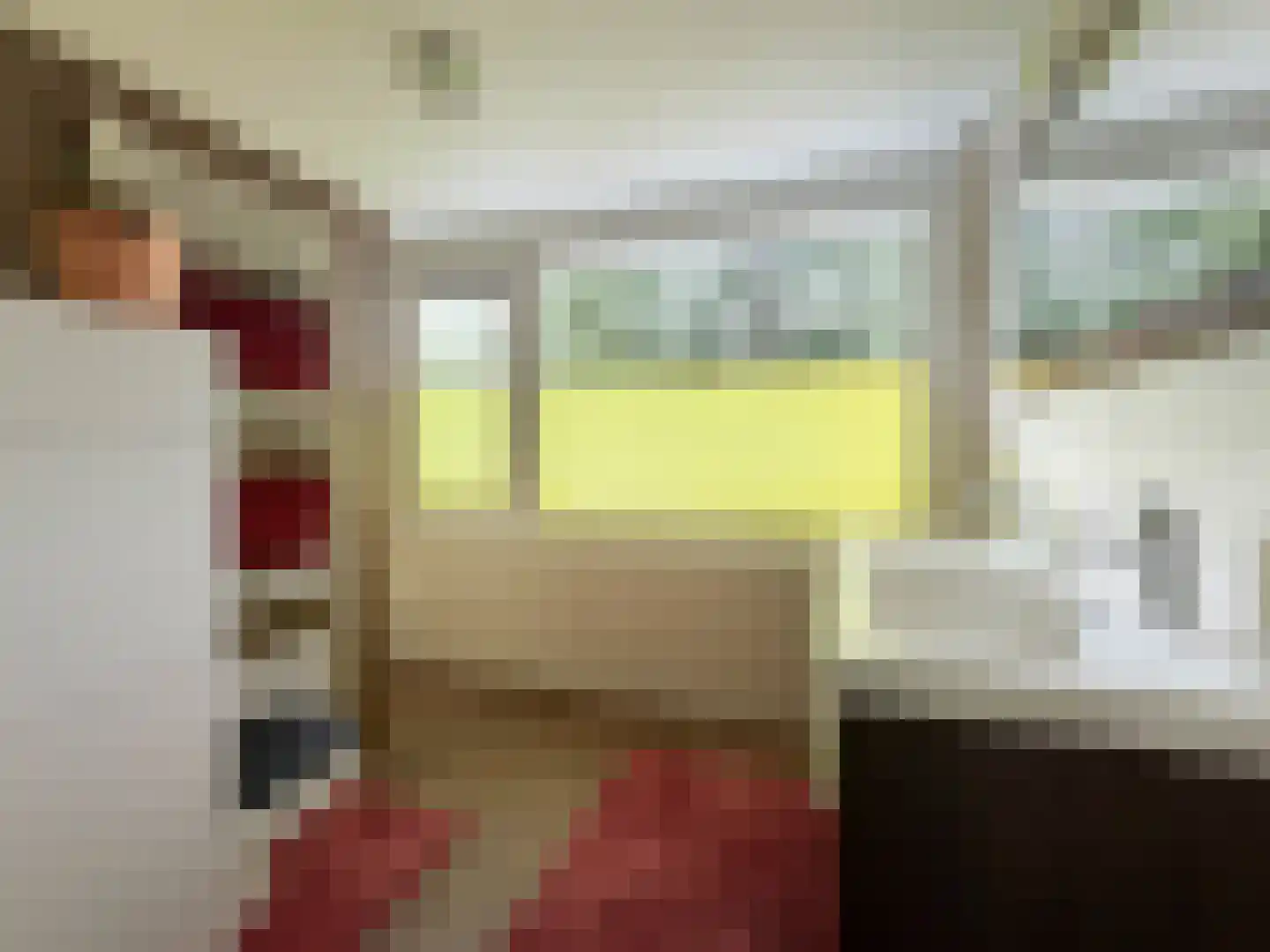 van Goyenstraat 9 Son en Breugel thumbnail 4