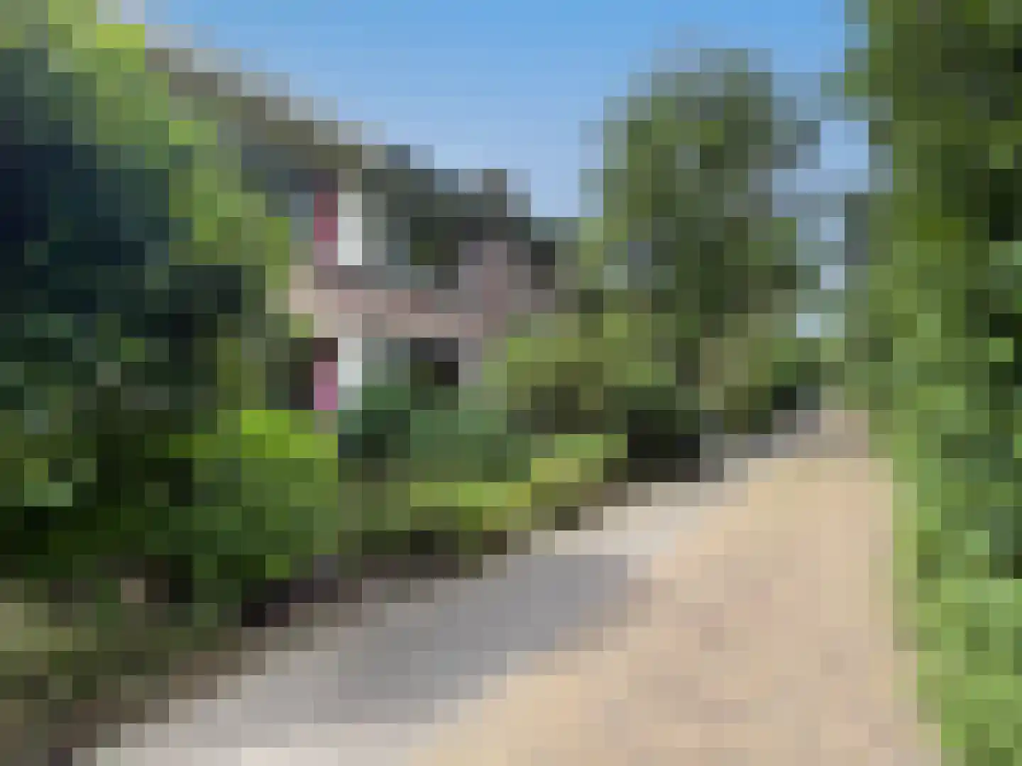 van Goyenstraat 9 Son en Breugel thumbnail 40