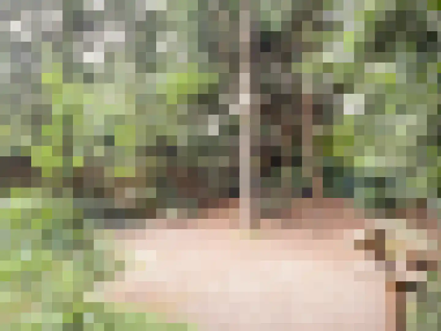 van Goyenstraat 9 Son en Breugel thumbnail 5