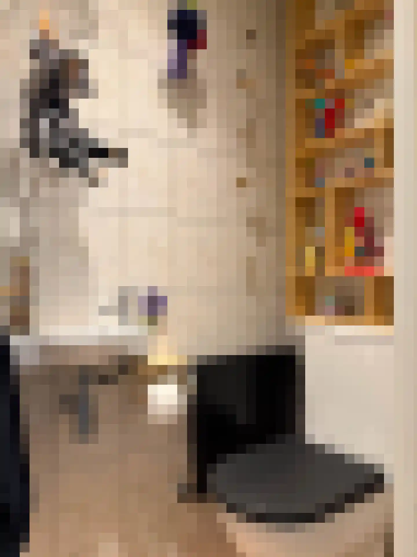 van Goyenstraat 9 Son en Breugel thumbnail 8