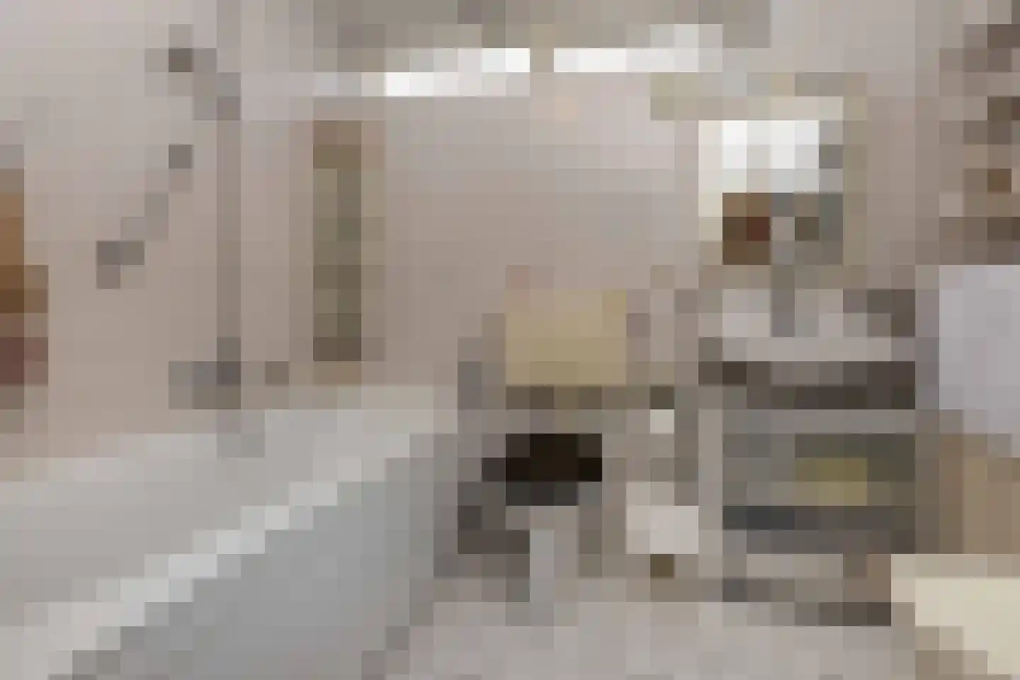 van Graftstraat 67 Helmond thumbnail 16
