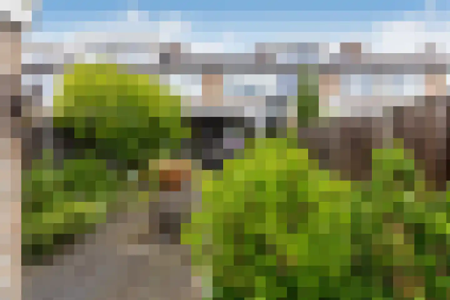 van Graftstraat 67 Helmond thumbnail 22