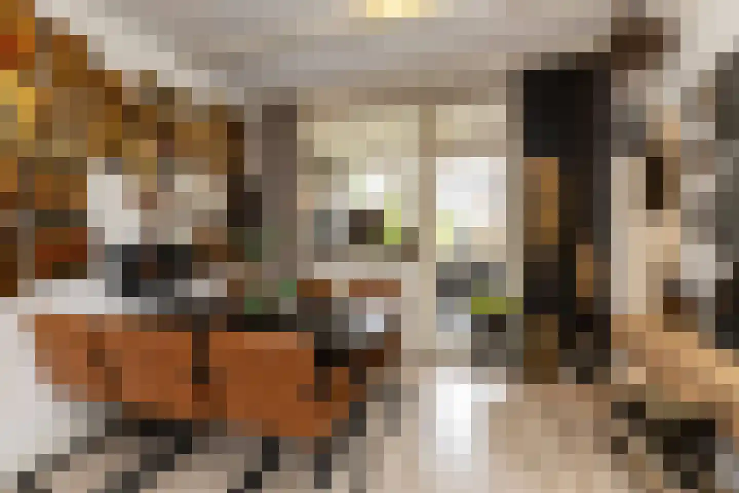 van Graftstraat 67 Helmond thumbnail 7