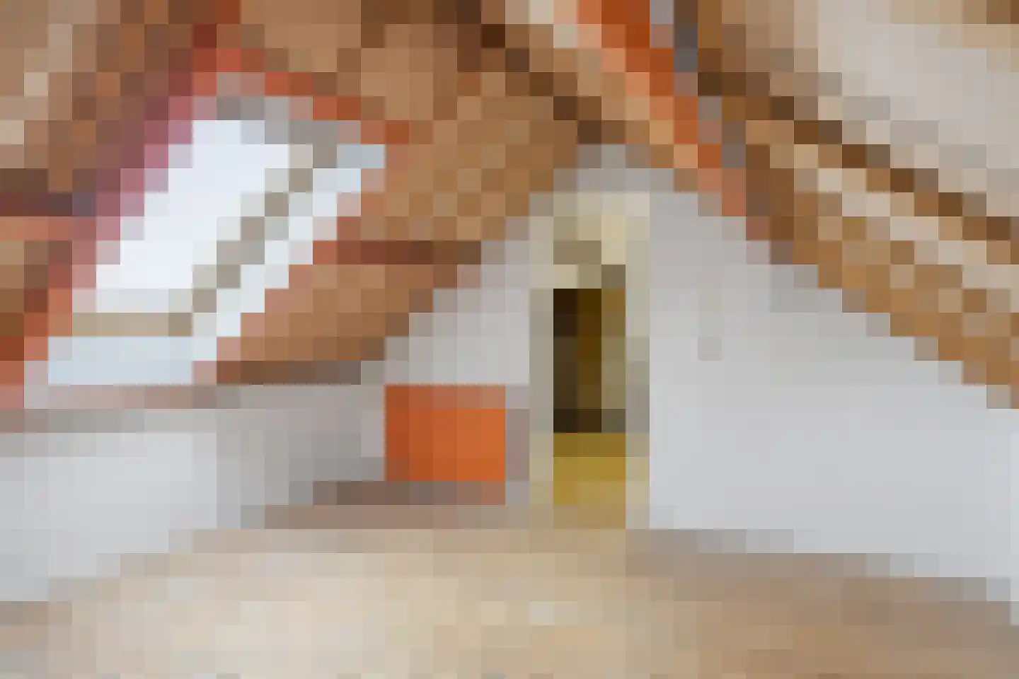 van Grevenbrouckstraat 15 Loon op Zand thumbnail 27