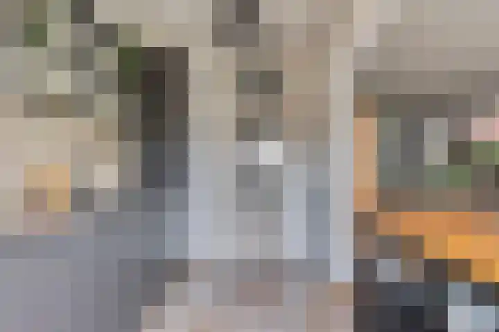 van Grevenbrouckstraat 6 Loon op Zand thumbnail 11