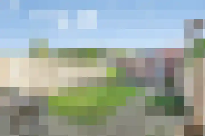 van Grevenbrouckstraat 6 Loon op Zand thumbnail 20