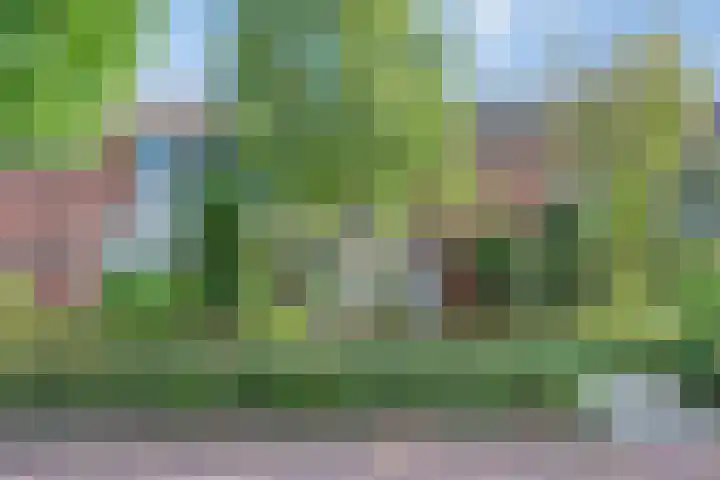 van Grevenbrouckstraat 6 Loon op Zand thumbnail 26