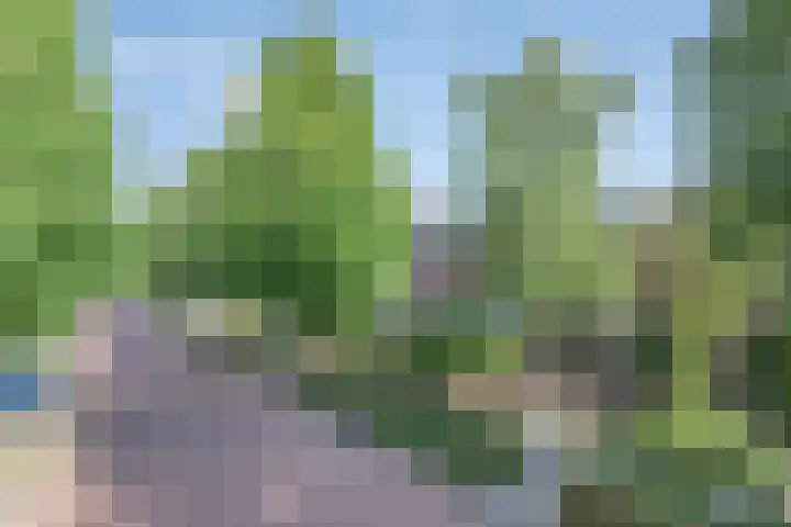 van Grevenbrouckstraat 6 Loon op Zand thumbnail 28