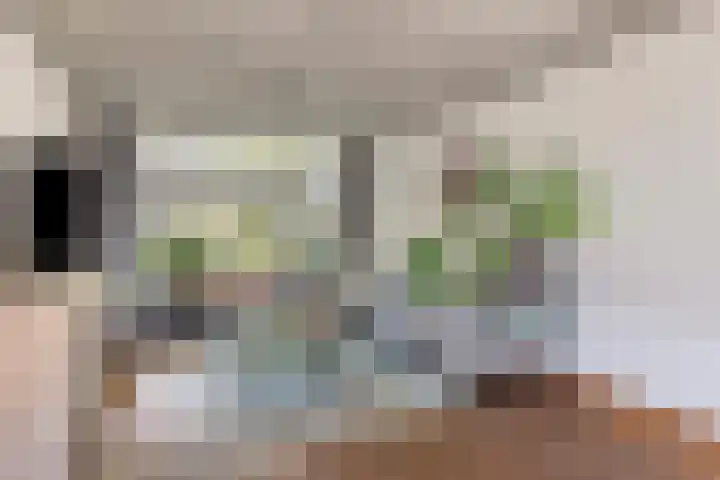 van Grevenbrouckstraat 6 Loon op Zand thumbnail 6