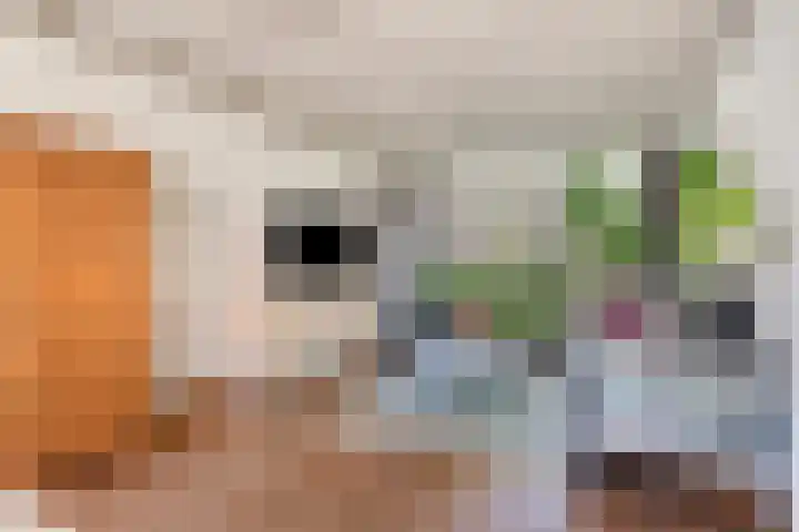 van Grevenbrouckstraat 6 Loon op Zand thumbnail 7
