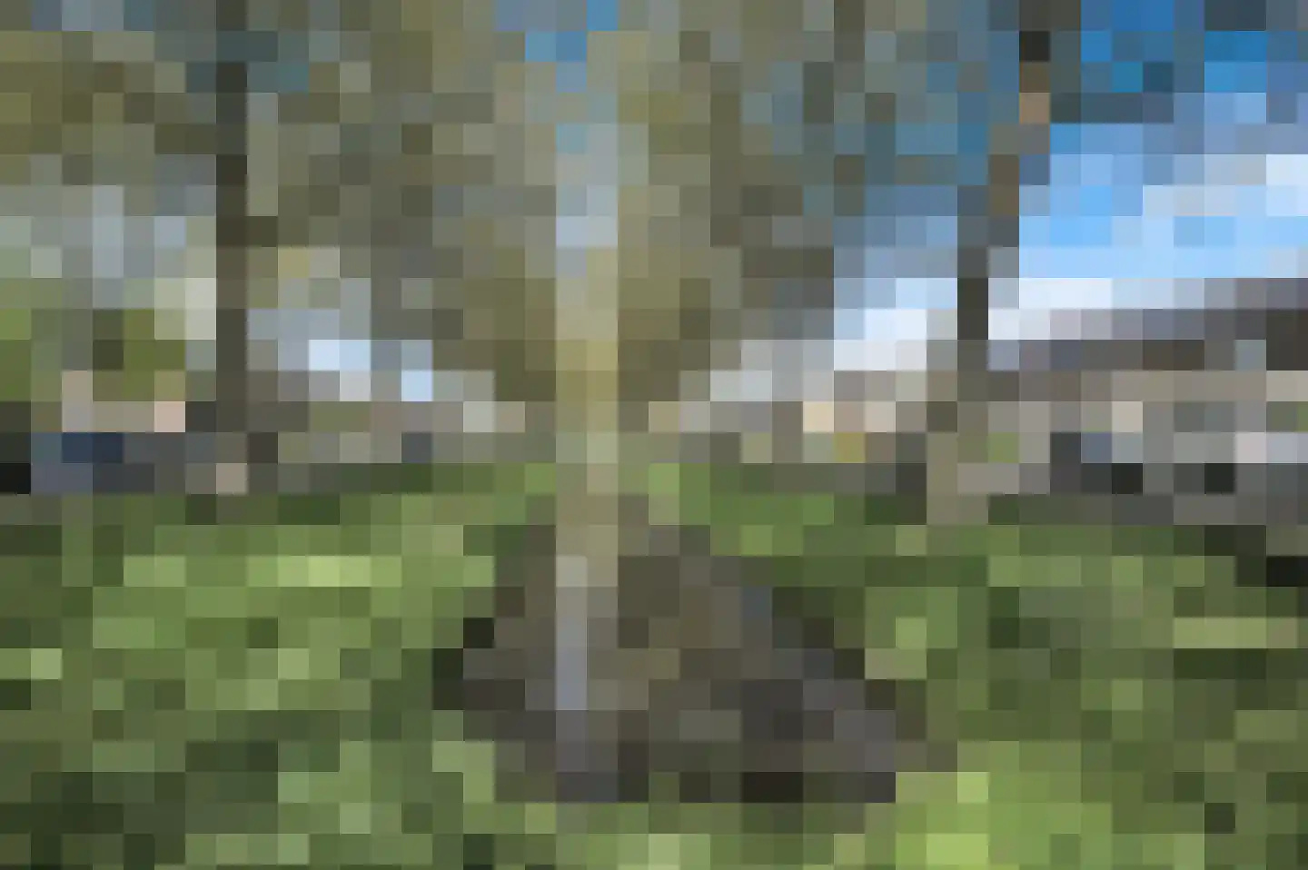 Van Groeneveltlaan 19 Wassenaar thumbnail 6
