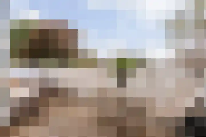 Van Groeneveltlaan 21 Wassenaar thumbnail 18