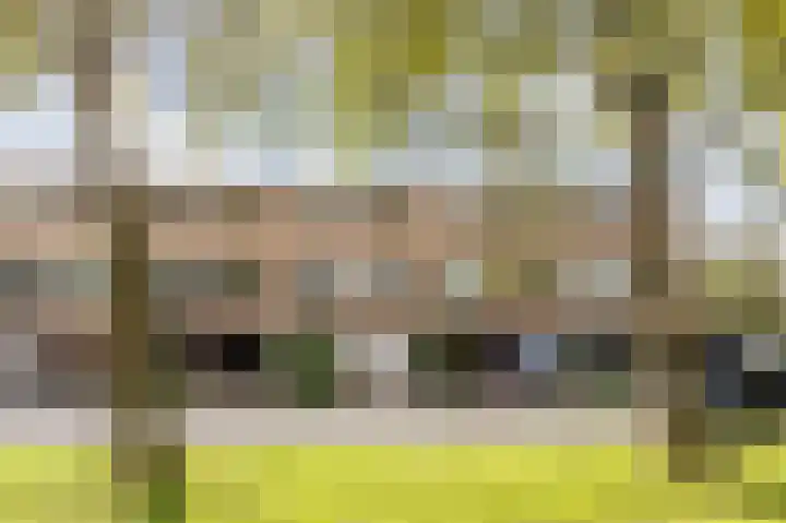 Van Groeneveltlaan 21 Wassenaar thumbnail 4