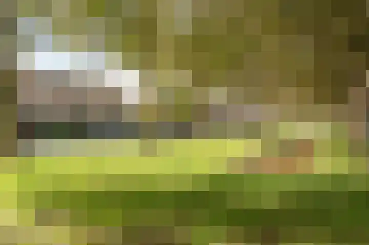 Van Groeneveltlaan 21 Wassenaar thumbnail 45