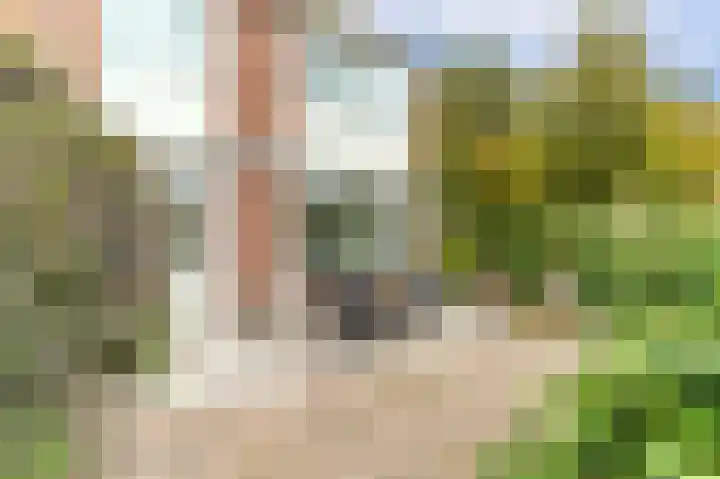 Van Groeneveltlaan 27 Wassenaar thumbnail 10