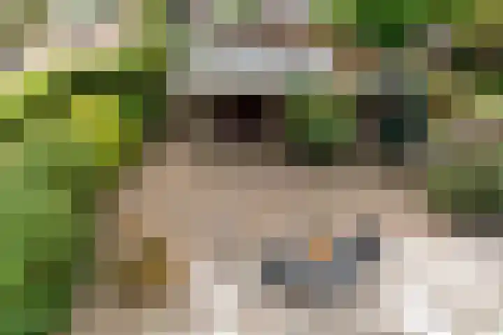 Van Groeneveltlaan 27 Wassenaar thumbnail 22
