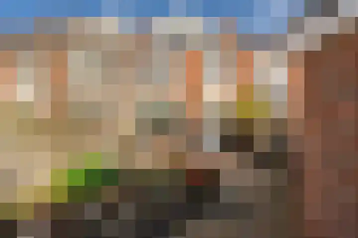 Van Groeneveltlaan 63 Wassenaar thumbnail 17