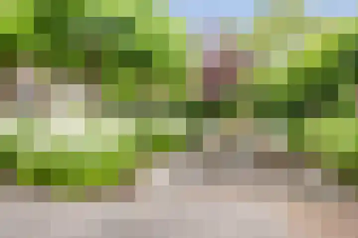 Van Groningenhof 4 Hoofddorp thumbnail 21