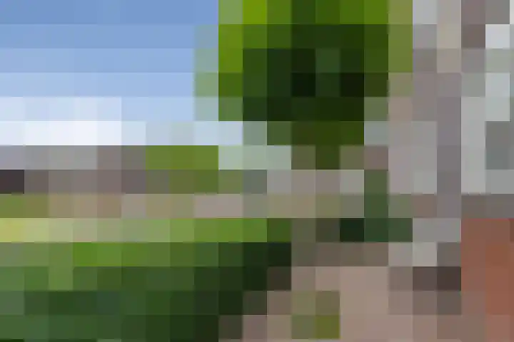 Van Groningenhof 4 Hoofddorp thumbnail 39