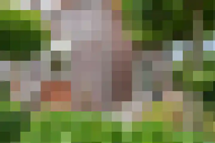 Van Groningenhof 4 Hoofddorp thumbnail 40
