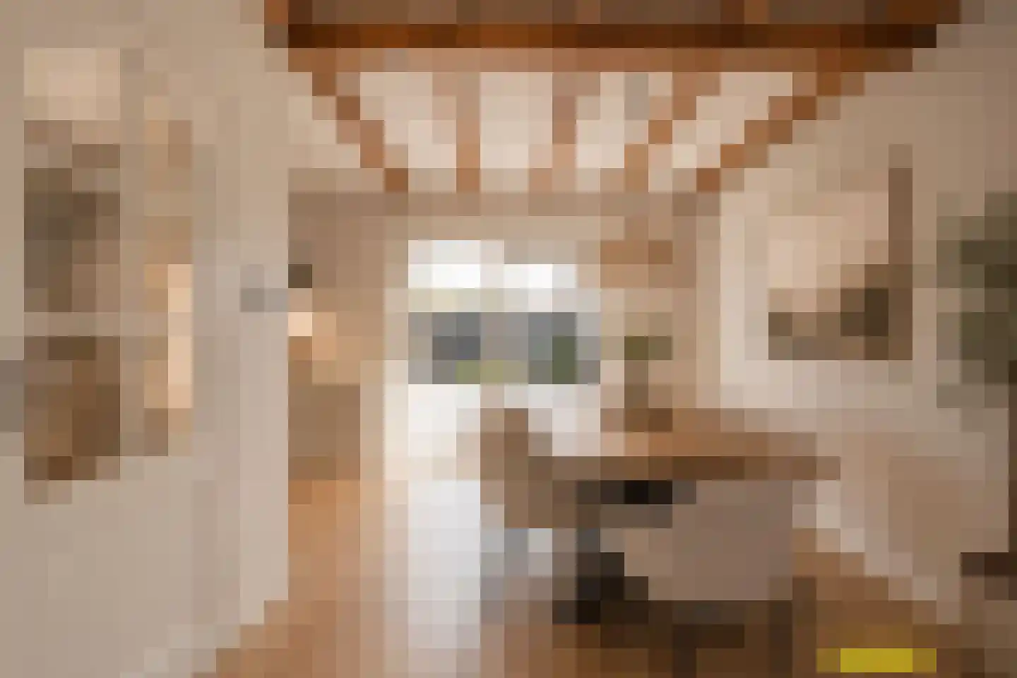 van Groningenstraat 11 Cothen thumbnail 10