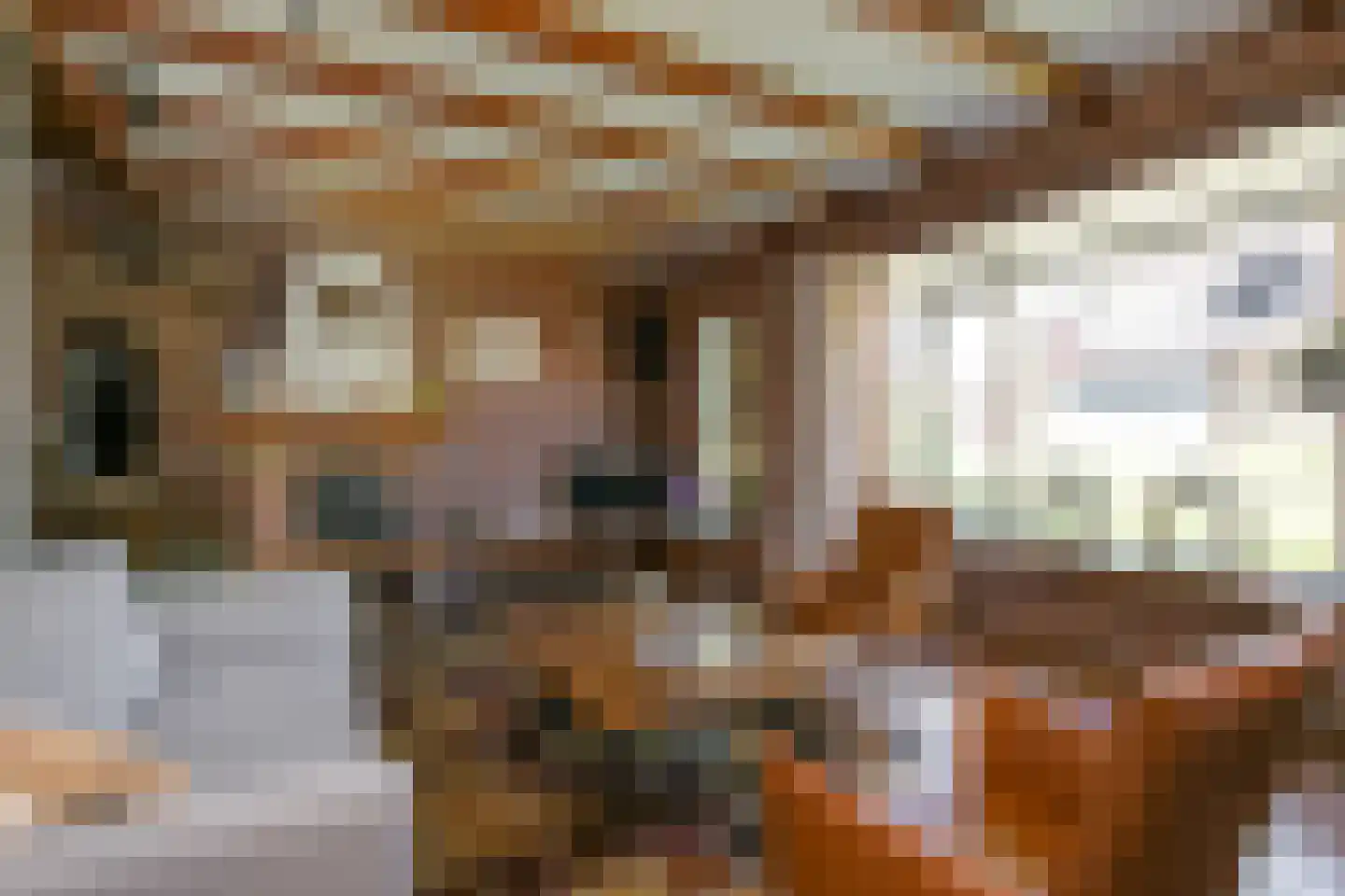 van Groningenstraat 11 Cothen thumbnail 11