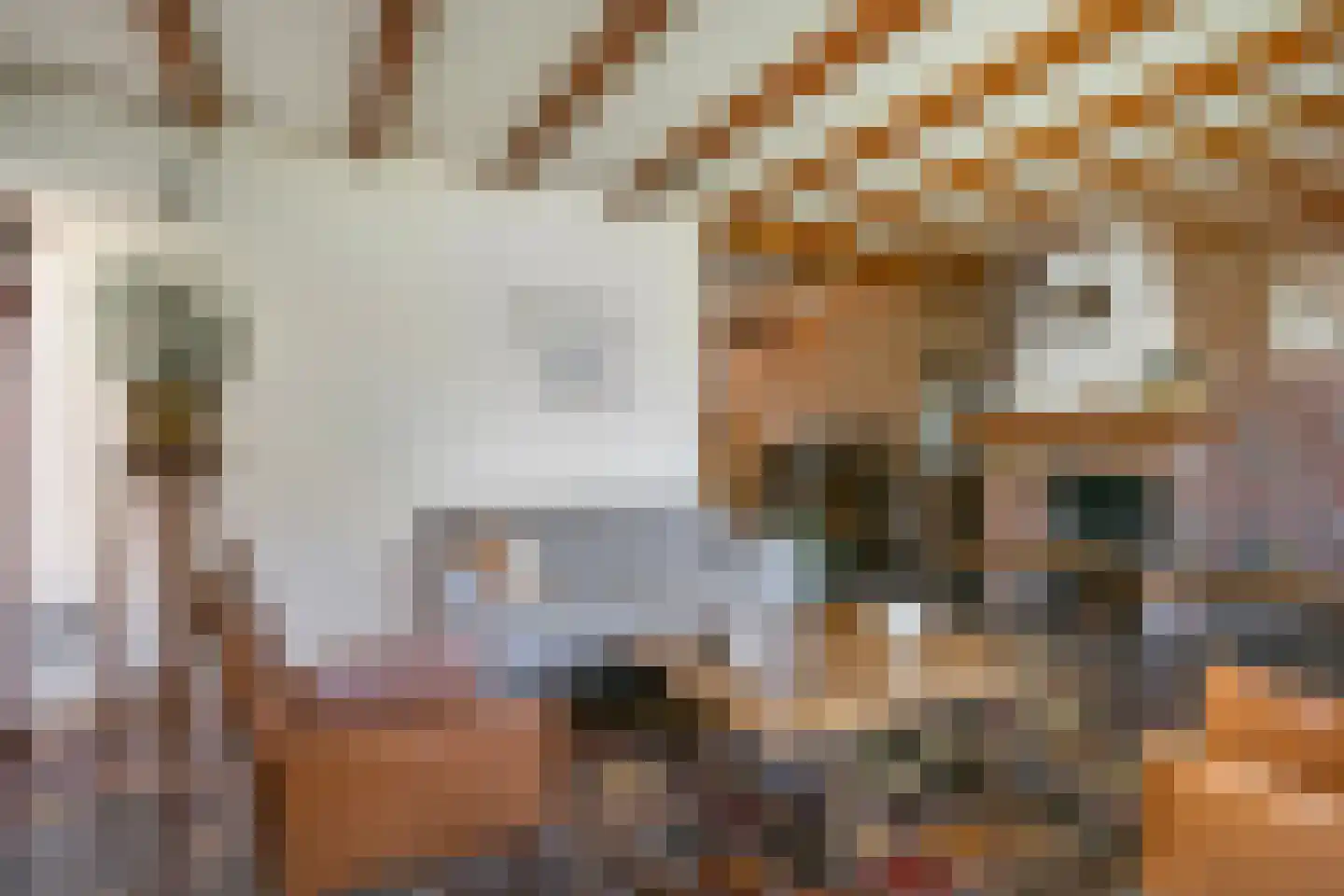 van Groningenstraat 11 Cothen thumbnail 12